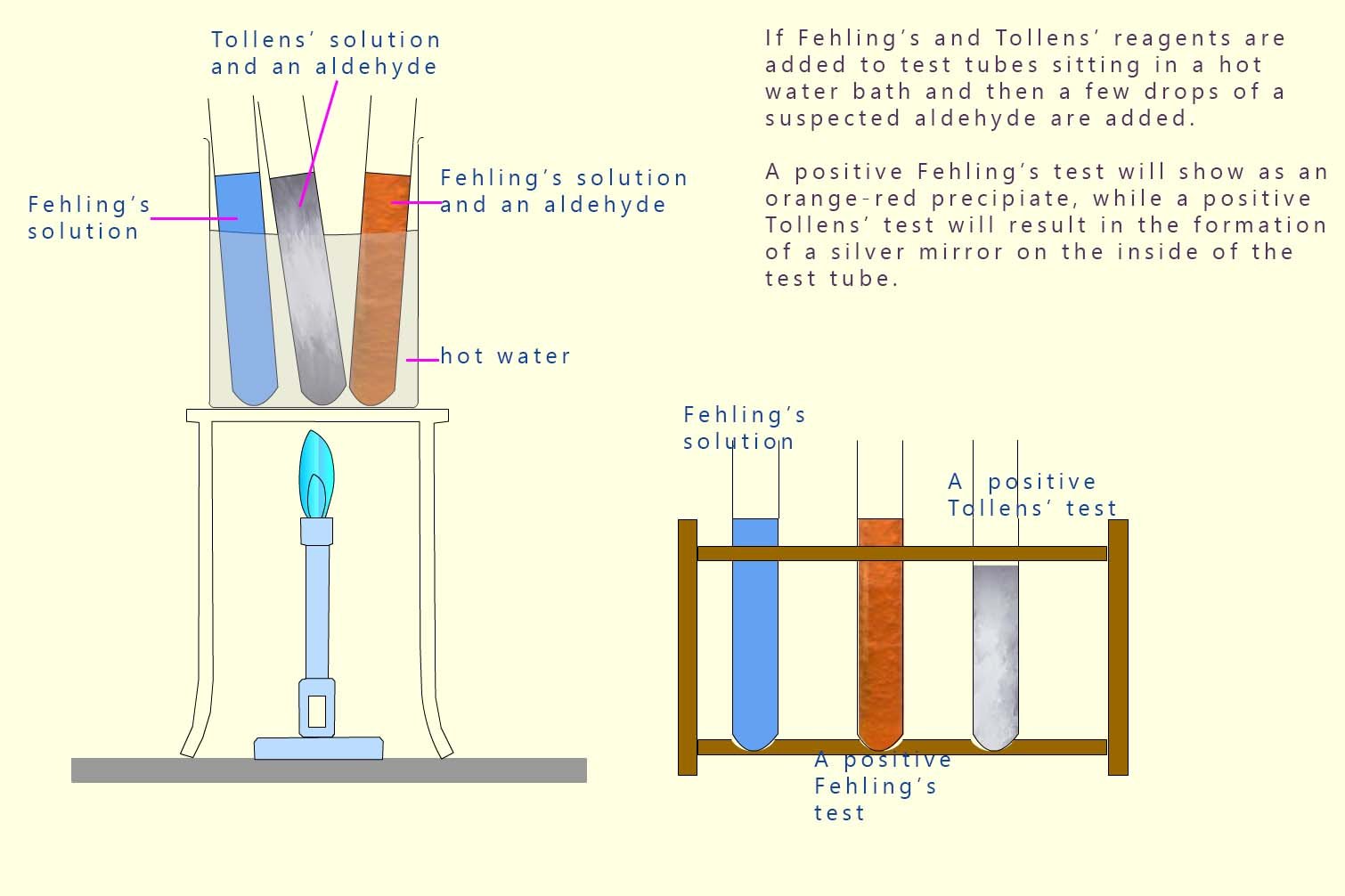 Summary of test results for Tollens' and Fehling's solution when added to aldehydes and ketones