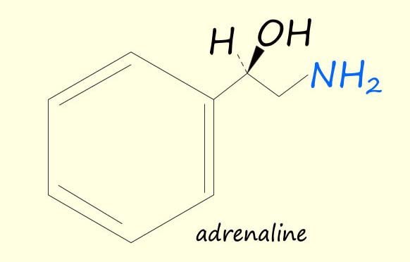 Image showing the structure of adrenaline