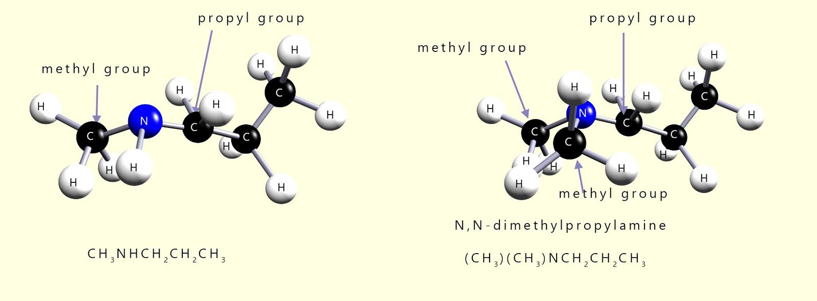 3d models of N-methylpropylamine and N,N-dimethylpropylamine.