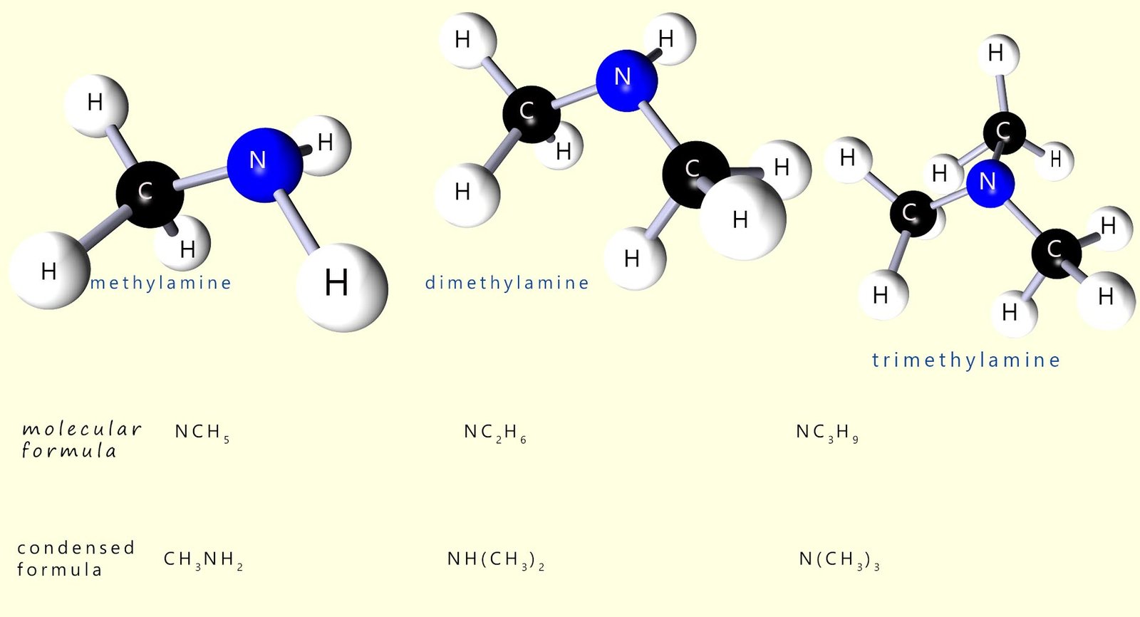 simple amine molecules are named by adding the suffix amine to the alkyl or aryl attached to the nitrogen atom, the image shows 3d models of simple amine molecules.