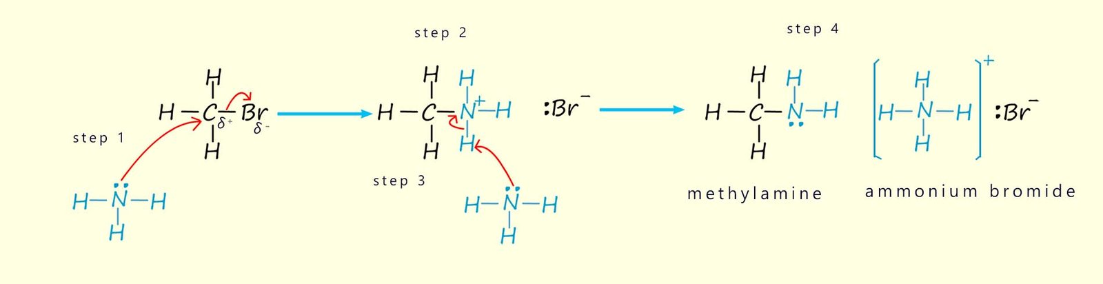 Mechanism to show how ammonia can act as a nucleophile and as a base in its reactions with halogenalkanes or alkyl halides.