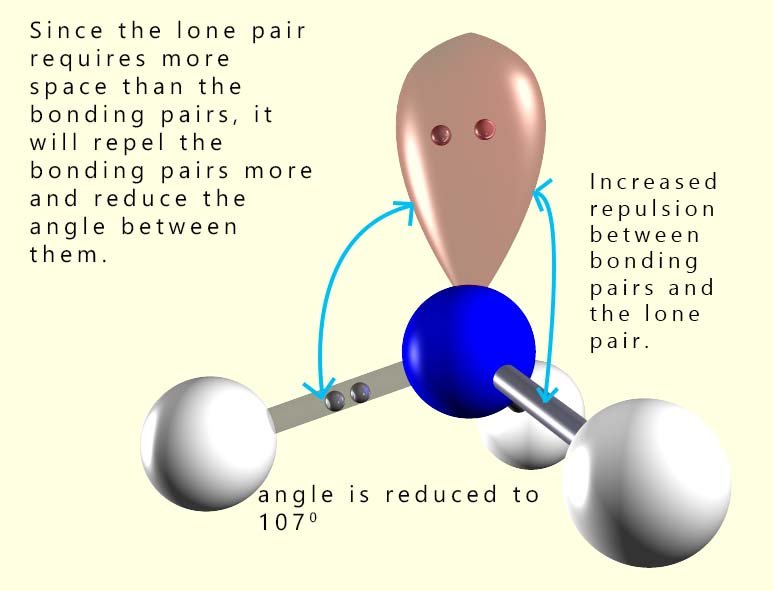3d model showing the increased repulsion in ammonia between the lone pair of electrons and the 
bonding pair of electrons.