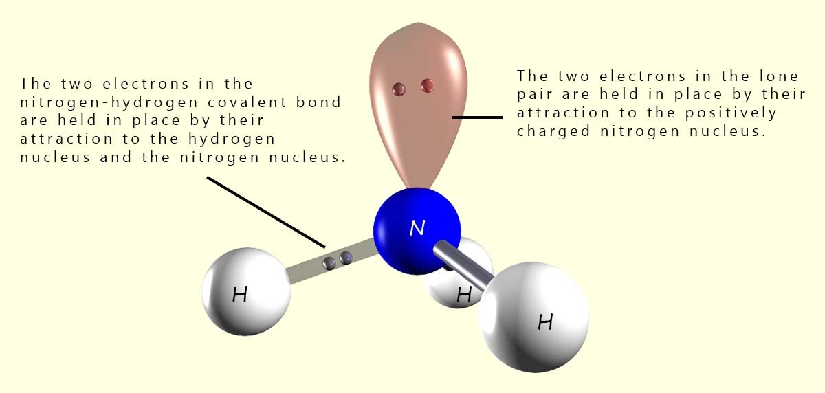 An ammonia molecule has one lone pair of electrons, 3d model of an ammonia molecule showing the lone pair or non-bonding pair of electrons.