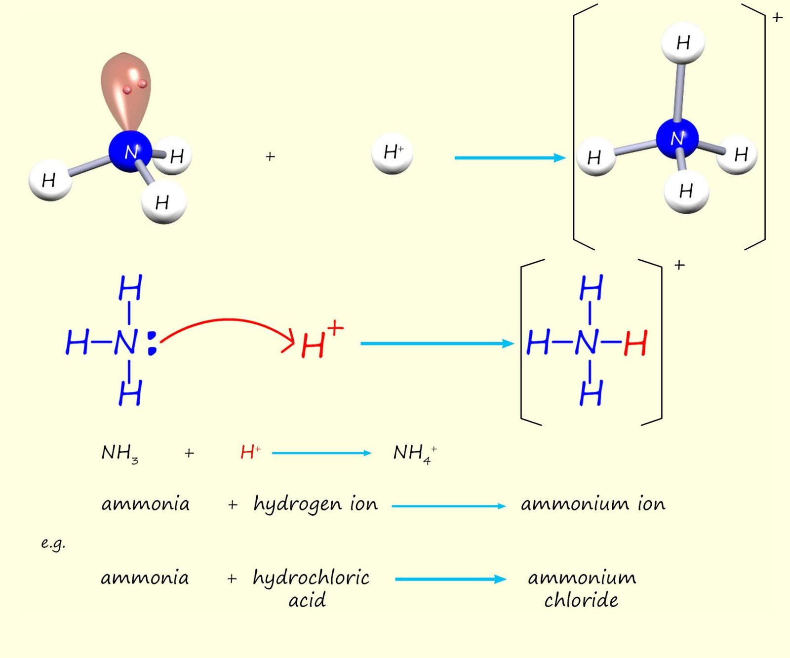 The formation of an ammonium ion from the reaction of an ammonia molecule with a hydrogen ion.  The ammonia supplies both electrons to form a dative covalent bond with the hydrogen ion.