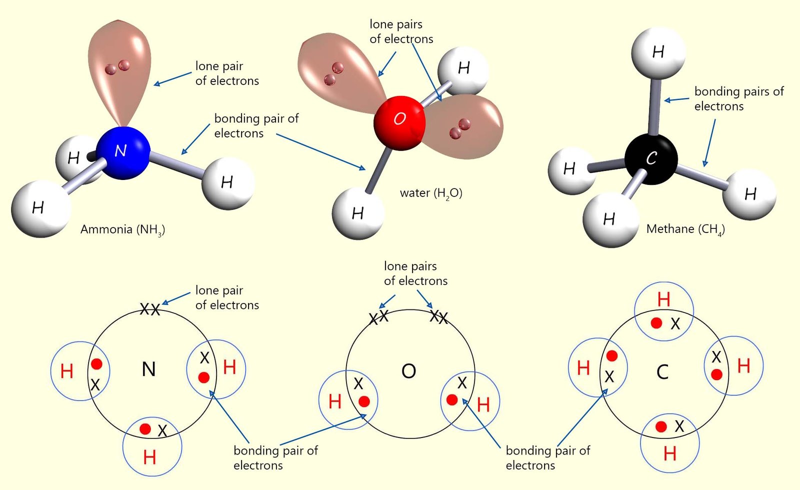 3d models of ammonia, methane and water showing the bond angles and lone pairs of electrons in the molecules, also dot and cross diagrams for these 3 molecules