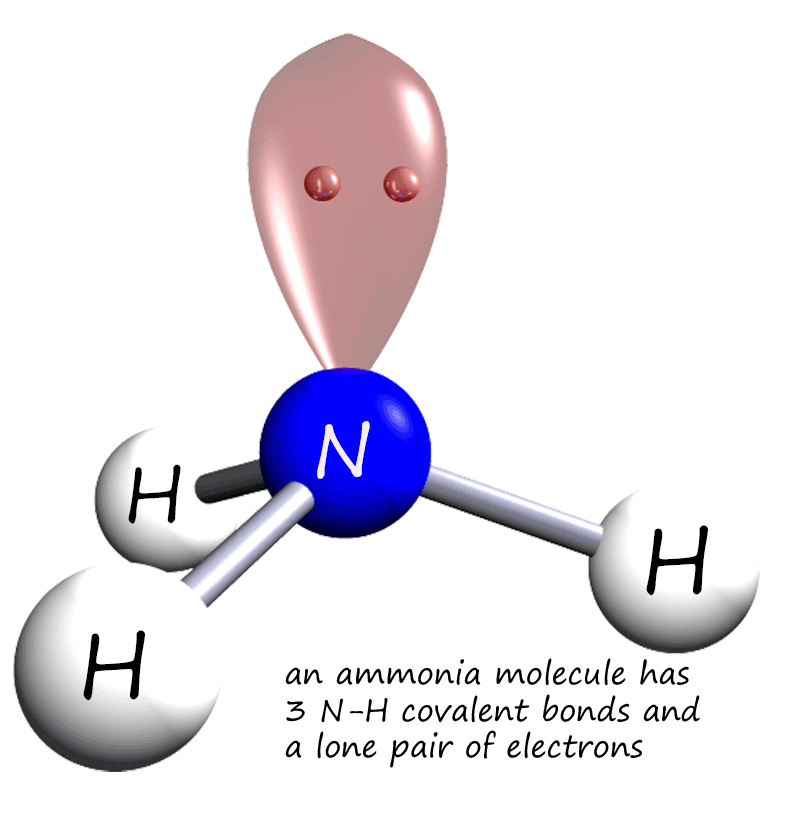 3d model of an ammonia molecule showing the lone pair of electrons.