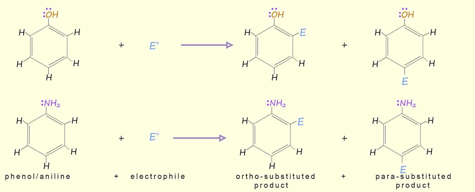 Equations to show the reaction of aniline and phenol with an electrophile to form the ortho and para substituted products.