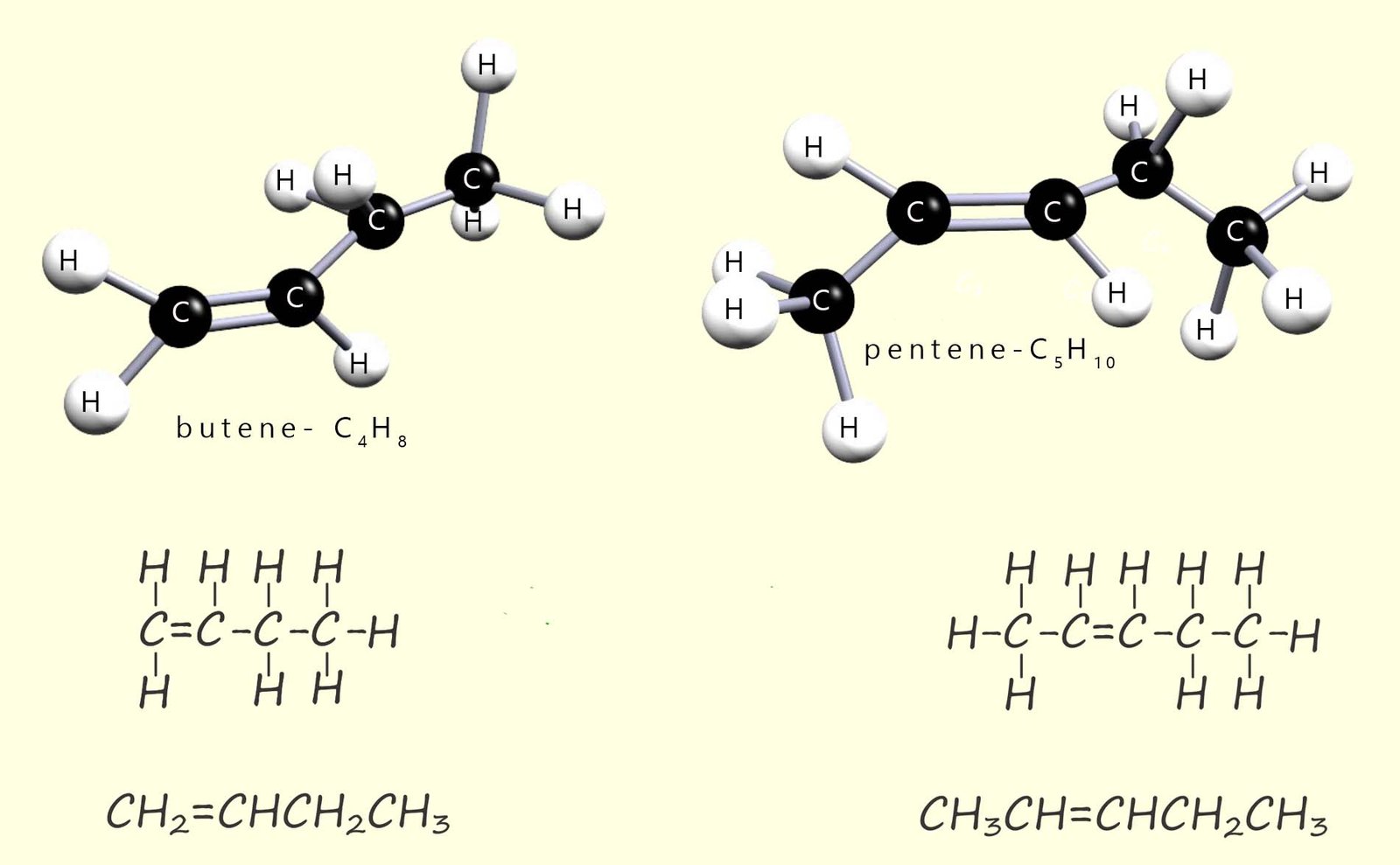 3D models of butene and pentene, as well as the structural formulae and displayed formula of butene and pentene are shown