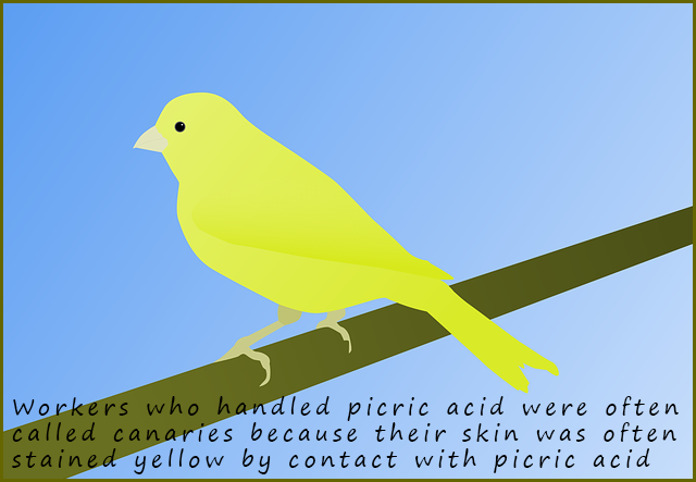 workers who handled picric acid were often called canaries