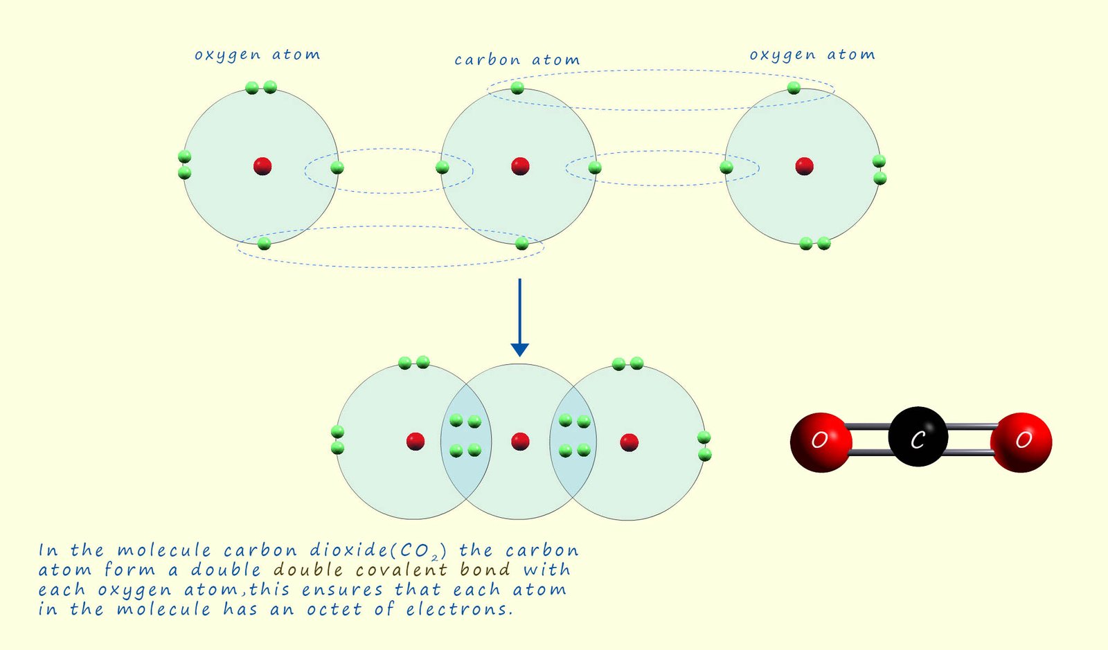  diagram to show bonding in a carbon dioxide molecule.