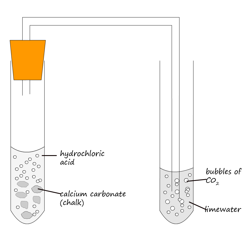 Apparatus diagram showing the reaction of calcium carbonate with a carboxylic acid.  The gas carbon dioxide can be tested for by bubbling it through limewater.