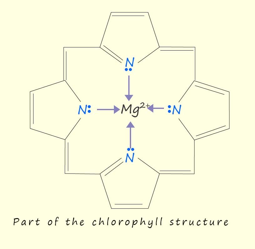 Image showing part of the chlorophyl structure