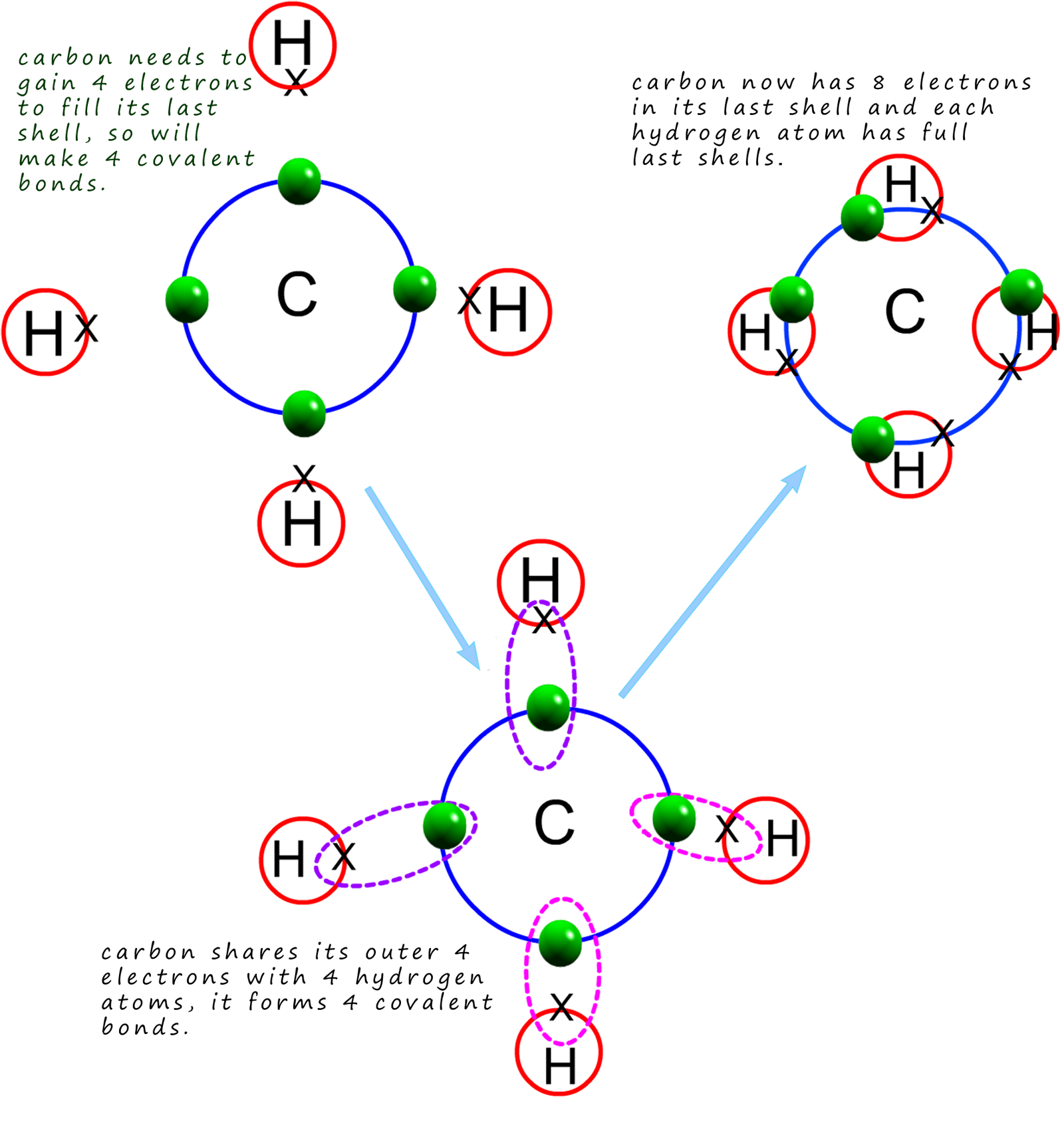 Ch4 Methane Covalent Bonding Dot Cross Diagram Scienc - vrogue.co