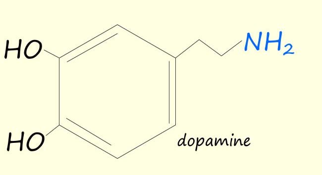 structure of the neurotransimitter dopamine