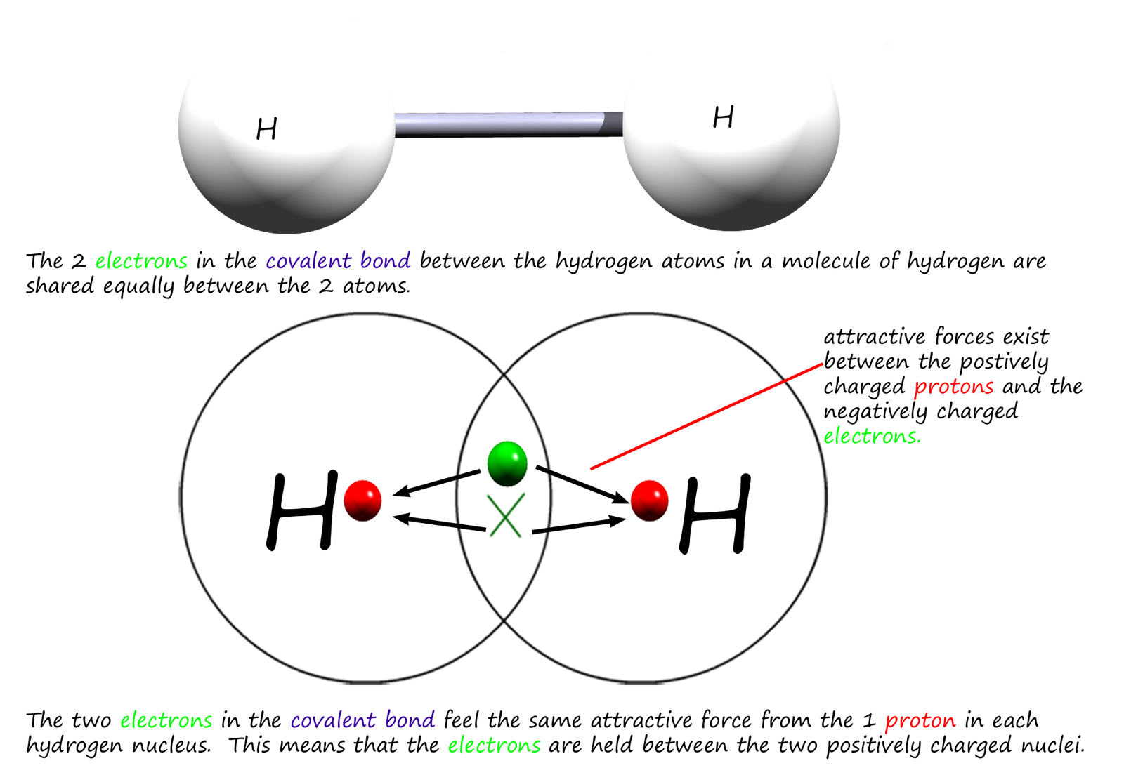 Covalent bonding in a hydrogen molecule showing that the electrons are shared equally.