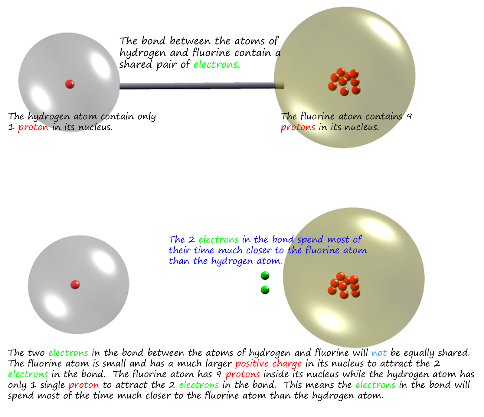 3d model to show the polar covalent bonding in a molecule of hydrogen fluoride that results from differences in the electronegativities of the two atoms.