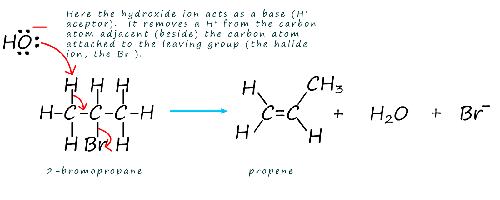 Image shows the mechanism for an eleimination reaction from a haloalkane to form an alkenes molecule