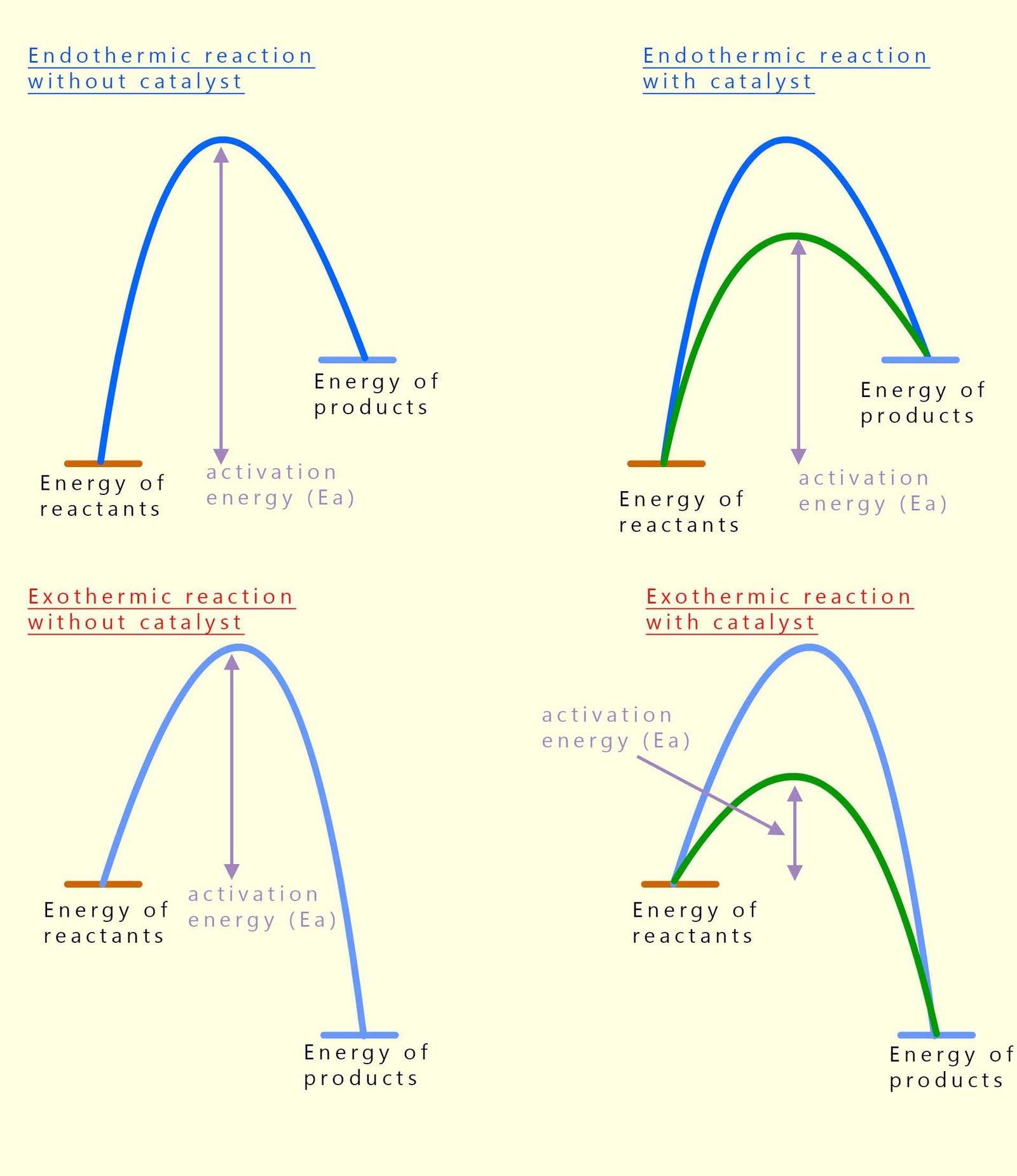 Energy profile for exothermic and endothermic reactions, both catalysed and uncatalysed.