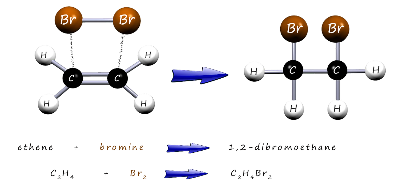 model, word and symbolic equations to show the addition of bromine to an unsaturated alkene molcule, ethene in this example.