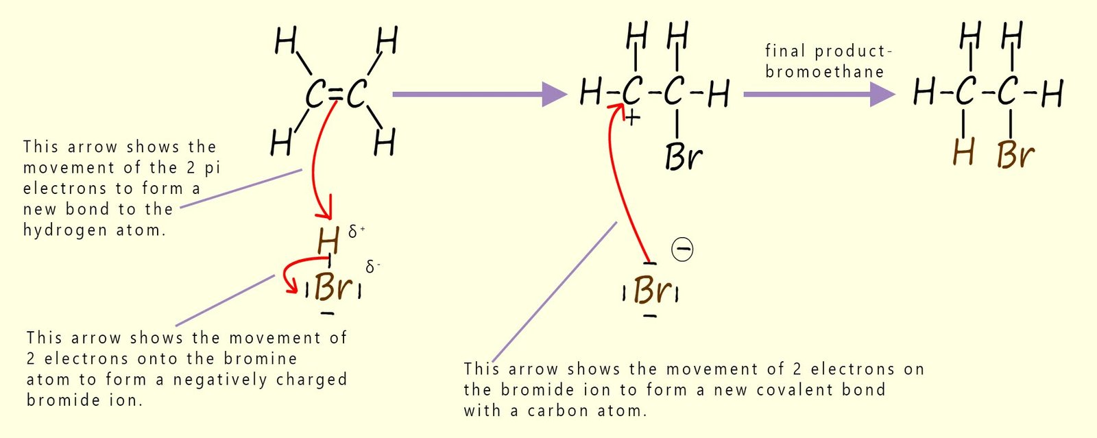 Detailed explanation of the mechanism of the electrophilic addition of hydrogen bromide to an alkene.