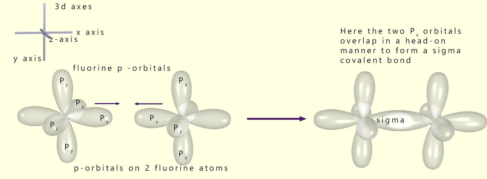 Diagram showing the head-on overlap of p-orbitals in two fluorine atoms to form a sigma covalent bond.