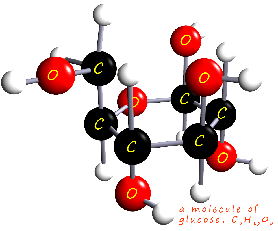 a molecule of glucose