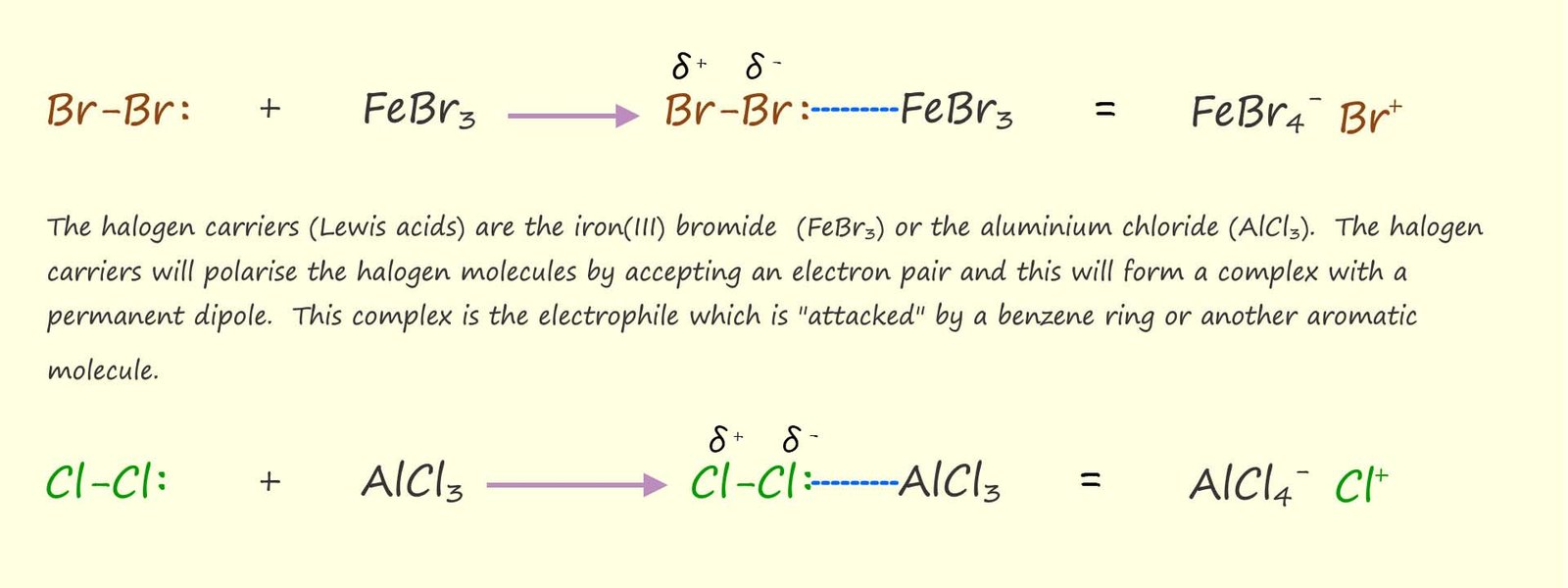 FeBr3 acts as a Lewis acid catalyst and enables bromine to add 
to an aromatic ring