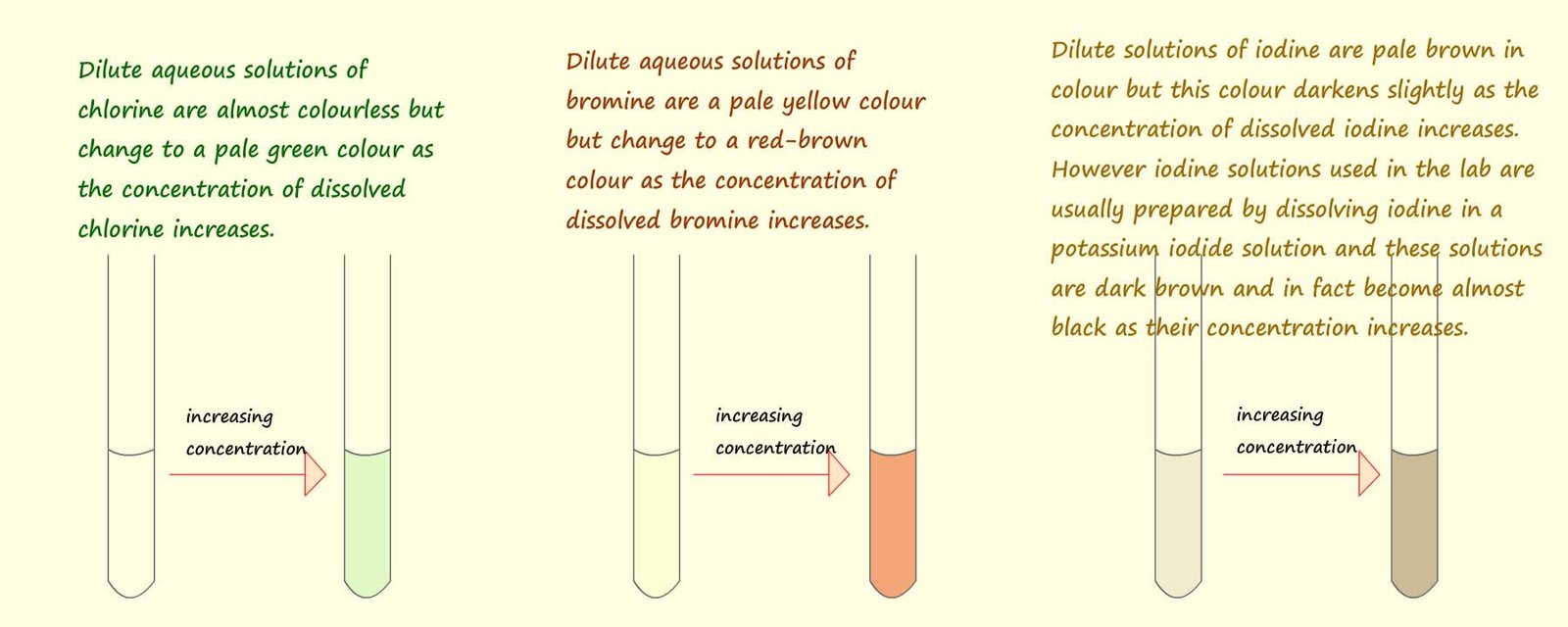 Colurs the halogens when dissolved in water to form dilute and concentrated solutions.