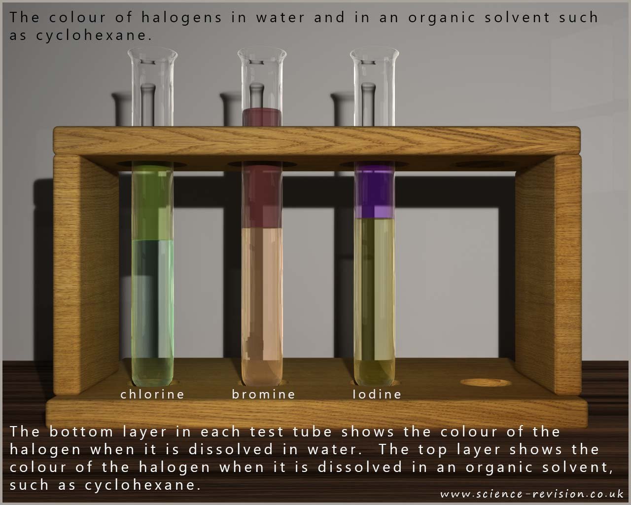 The colours of the halogens when dissolved in water and in an organic solvent.