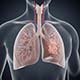Lungs icon