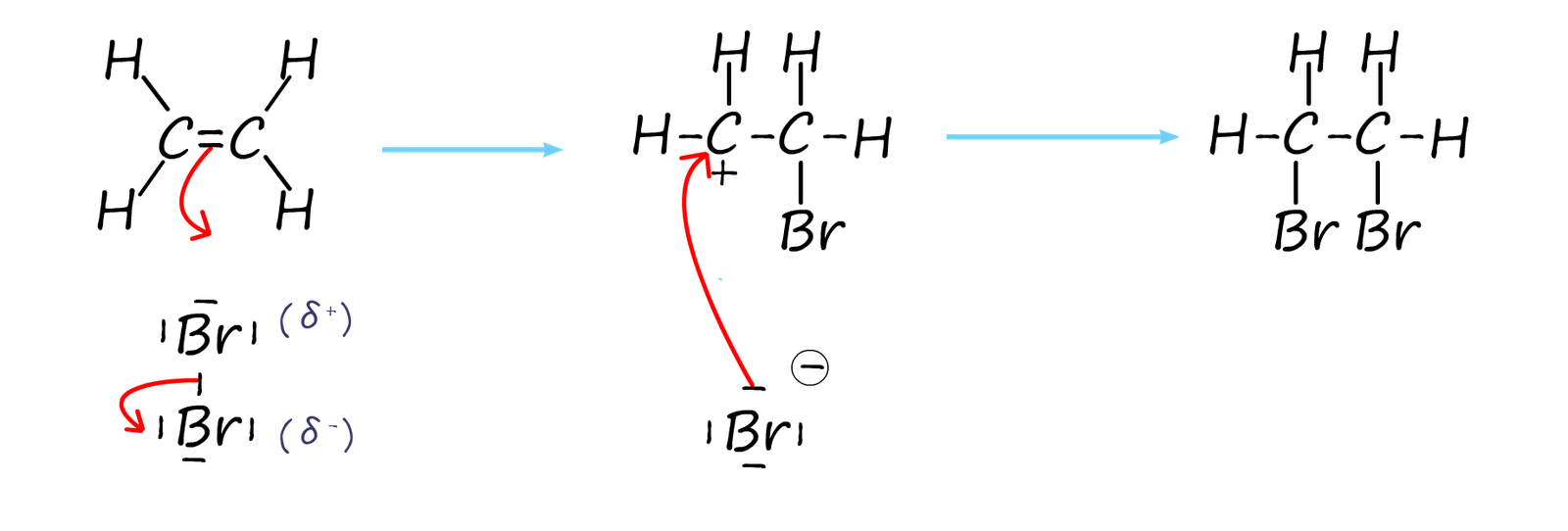 Halogenation of benzene rings