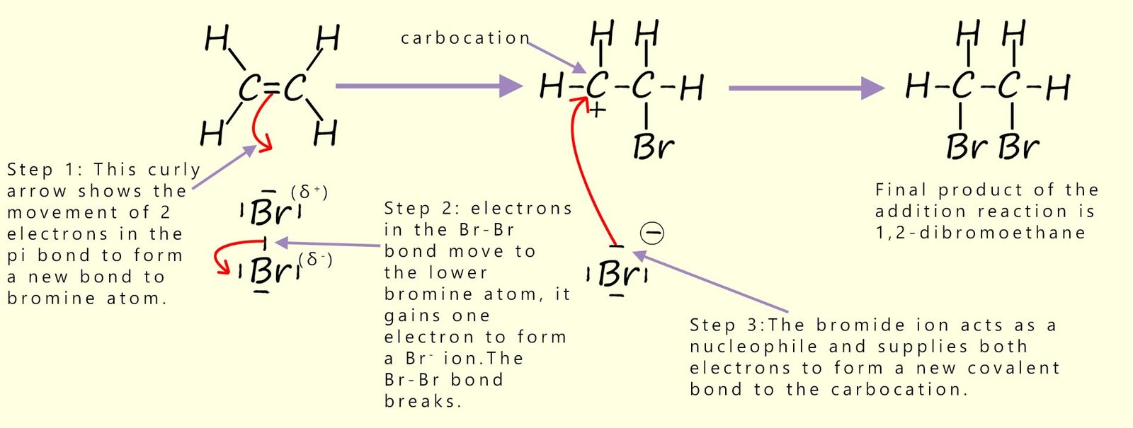 Detailed notes on the mechanism of electrophilic addition using the addition of bromine to ethene as an example.