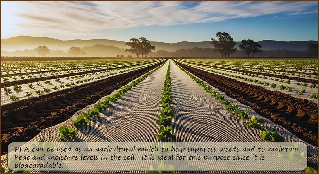 Use of poly(lactic acid) PLA as a mulch in the agricultural industry.