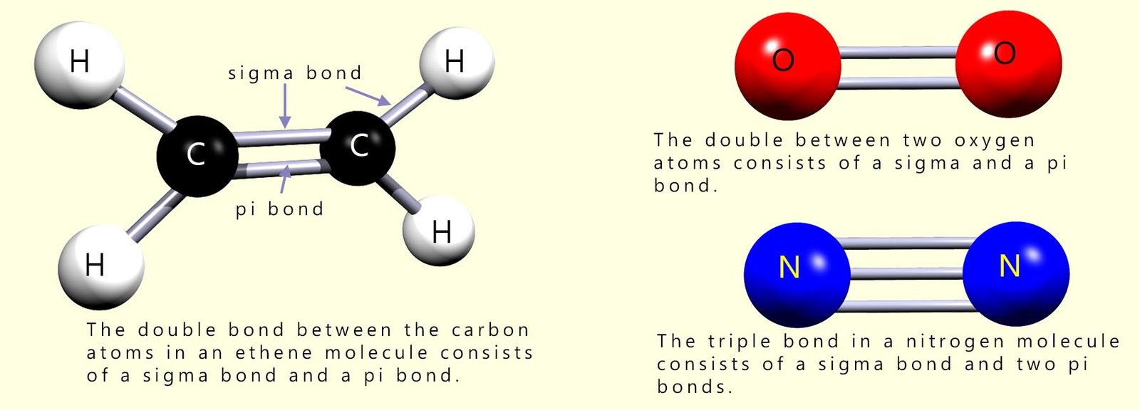Molecules which contain multiple covalent bonds such as oxygen and nitrogen, these multiple covalent bonds consist of a mixture of sigma and pi bonds.