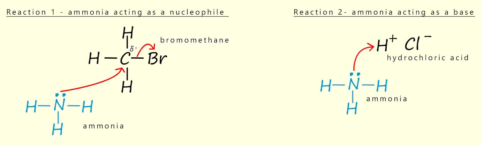 Mechanism to show how ammonia can act as a nucleophile and as a base in its reactions with halogenalkanes or alkyl halides.