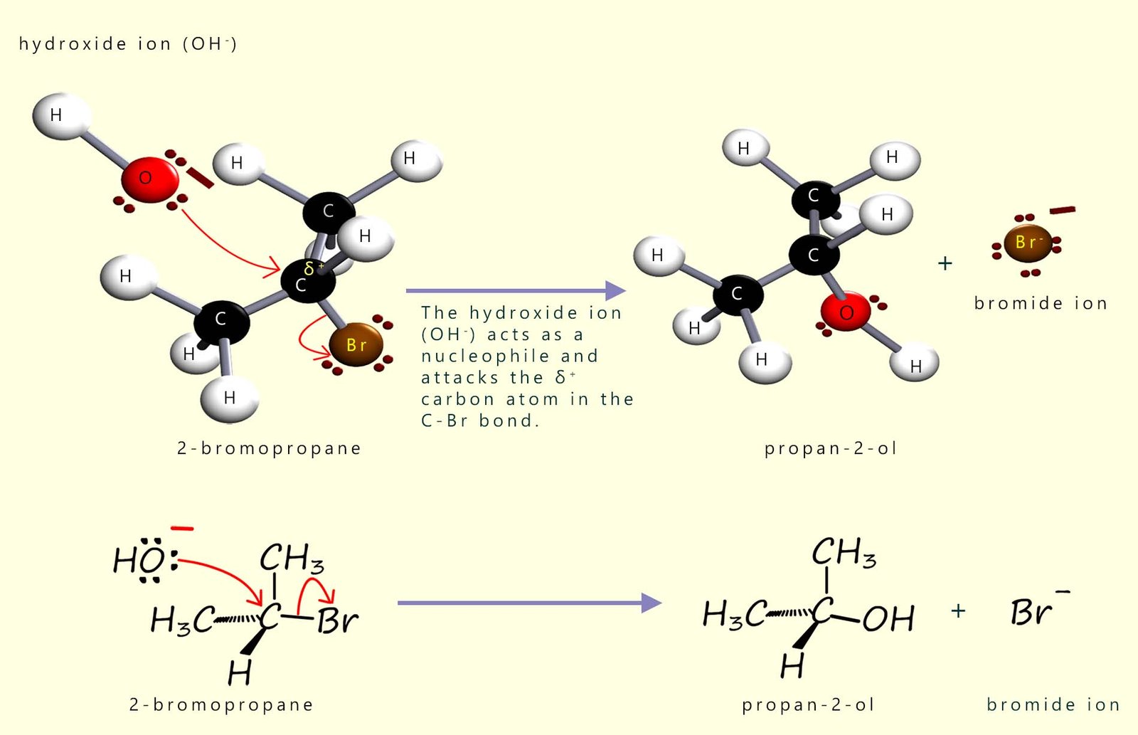 Nucleophilic substitution: hydroxide ions attack a halogenalkane to form an alcohol.