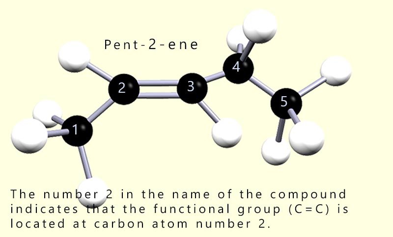3d model of the alkene pent-2-ene.