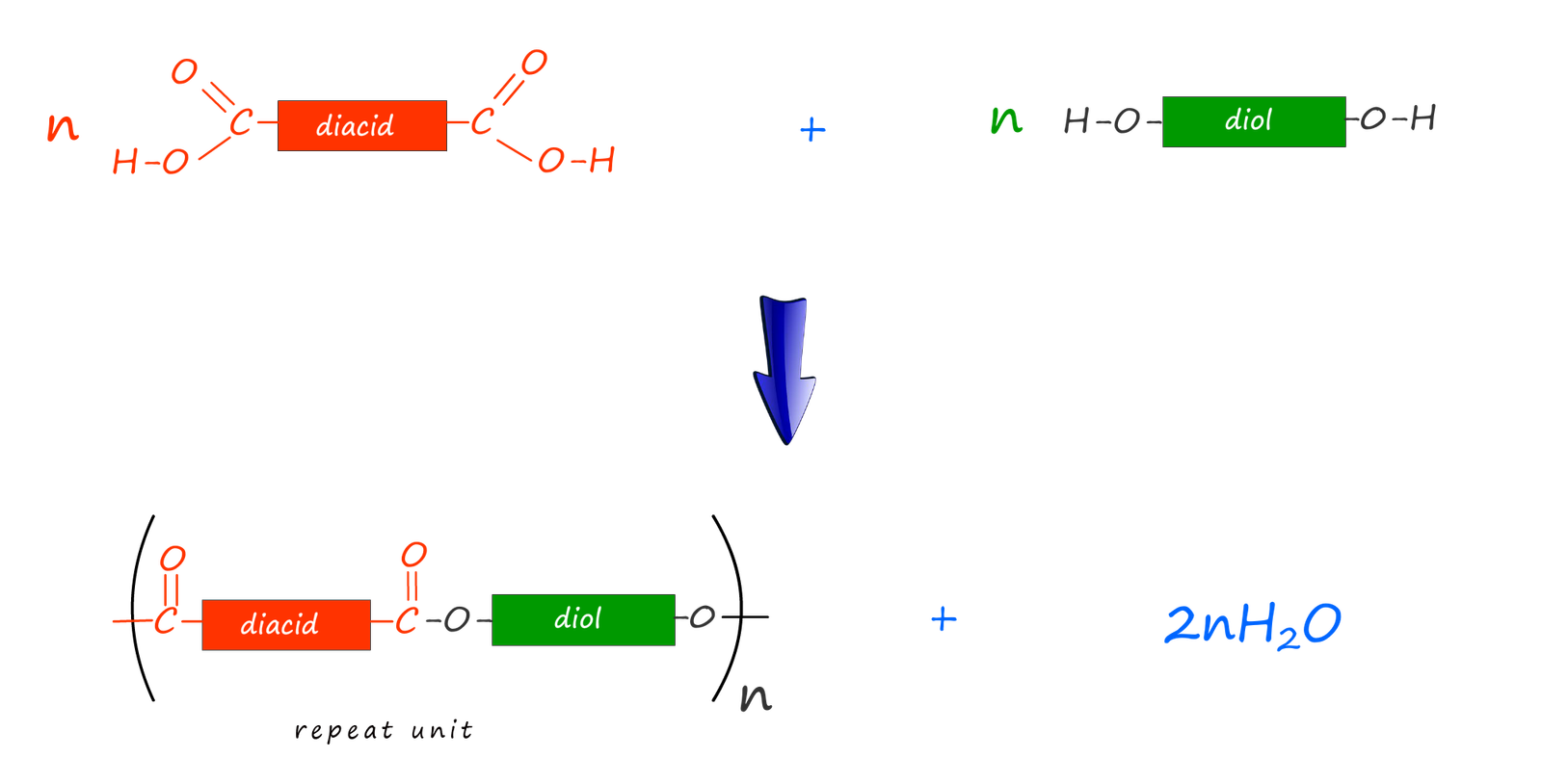 polyester mechanism