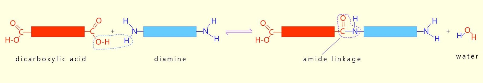 equation for amide formation using a diacid and a diamine