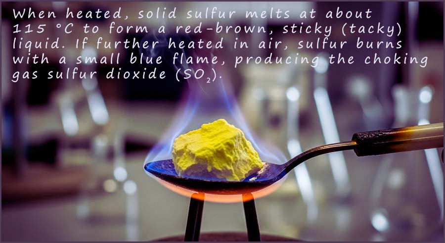 Sulfur burning on a burning sppon to form sulfur dioxide gas.