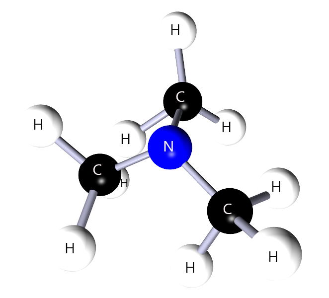 3D model of trimethylamine