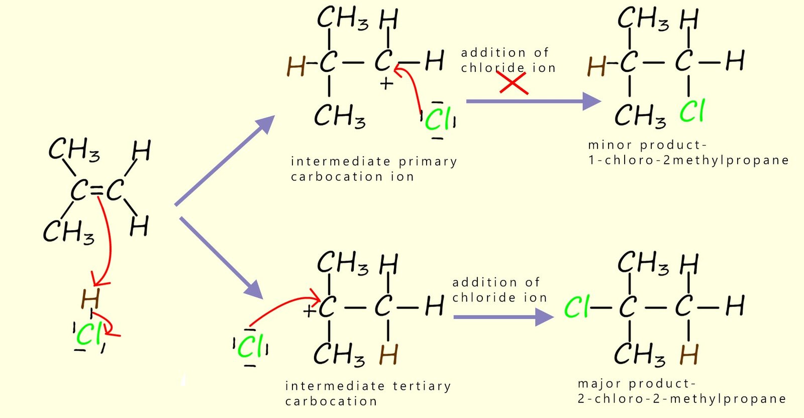 Example of how to use Markovnikov's rule to predict the products of an electrophilic addition reaction.