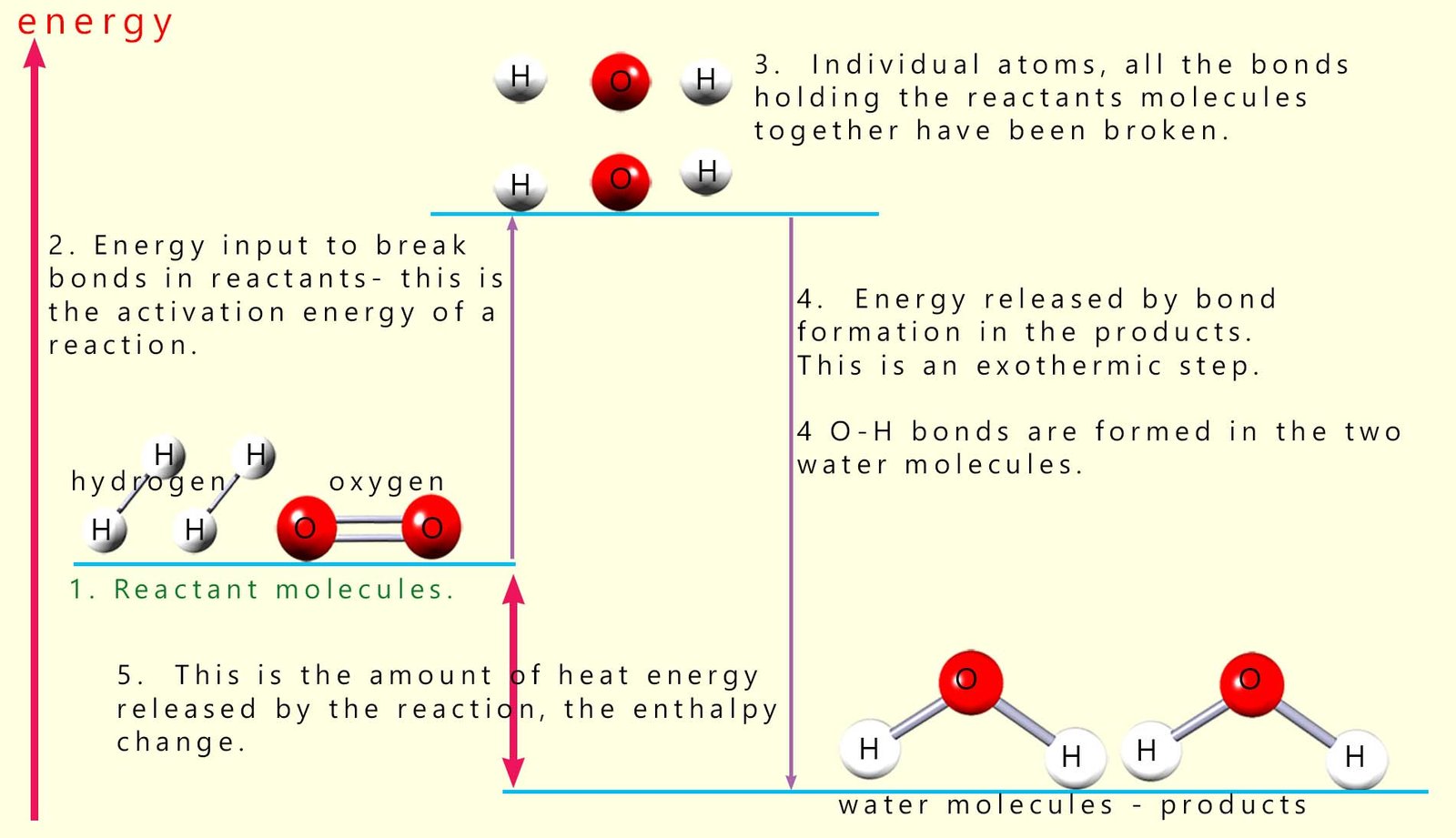 Energy profile diagram for water formation showing all the bonds formed and broken during the reaction.